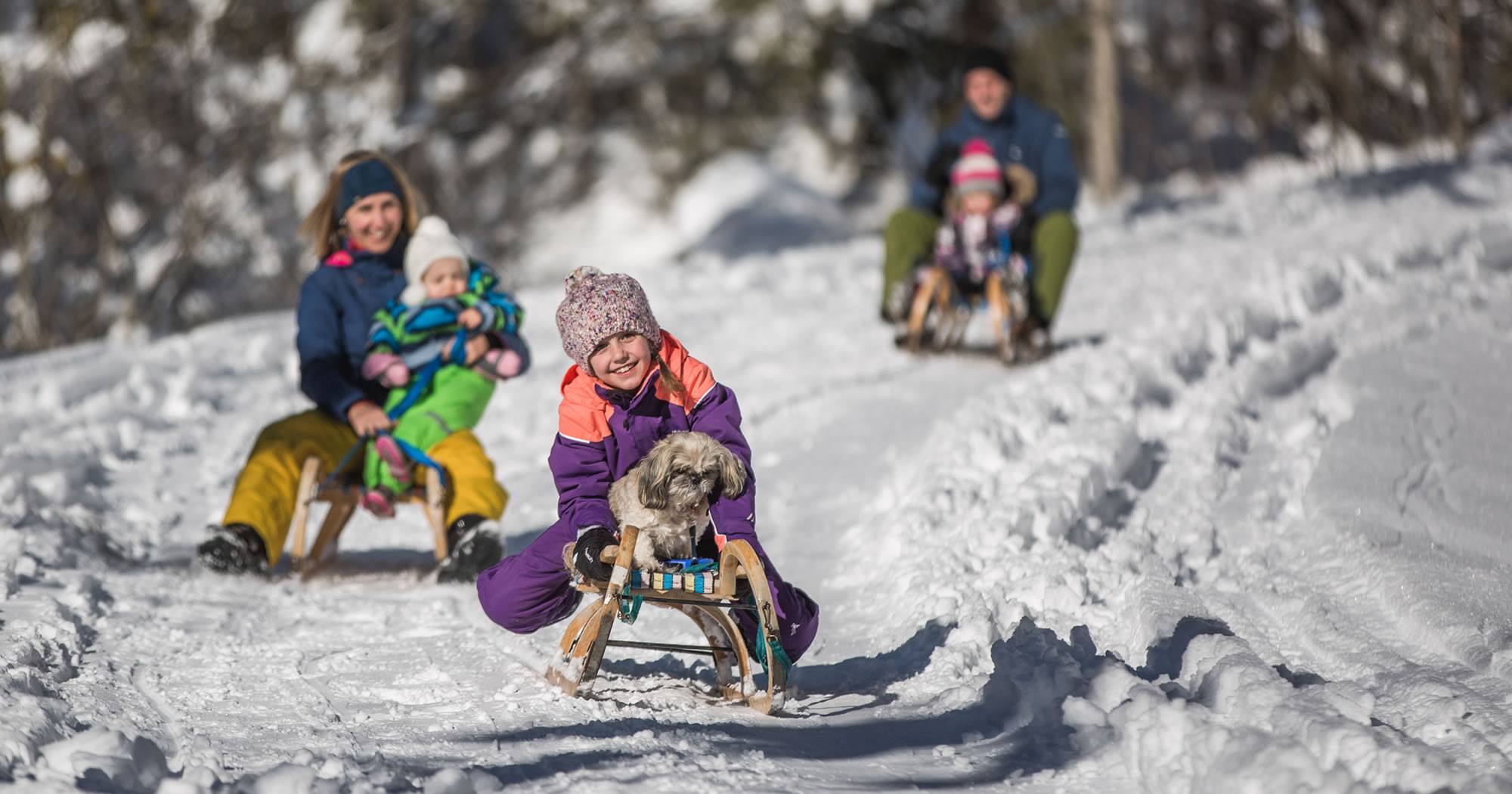 Familien Rodelbahnen © SalzburgerLand Tourismus | Michael Groessinger